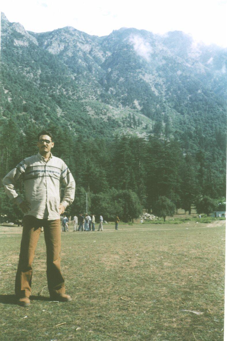 Talat shah the web master